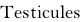 Testicules