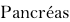 Pancréas