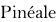 Pinéale